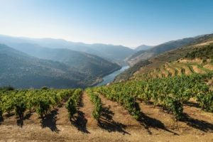 Douro Valley Portugal