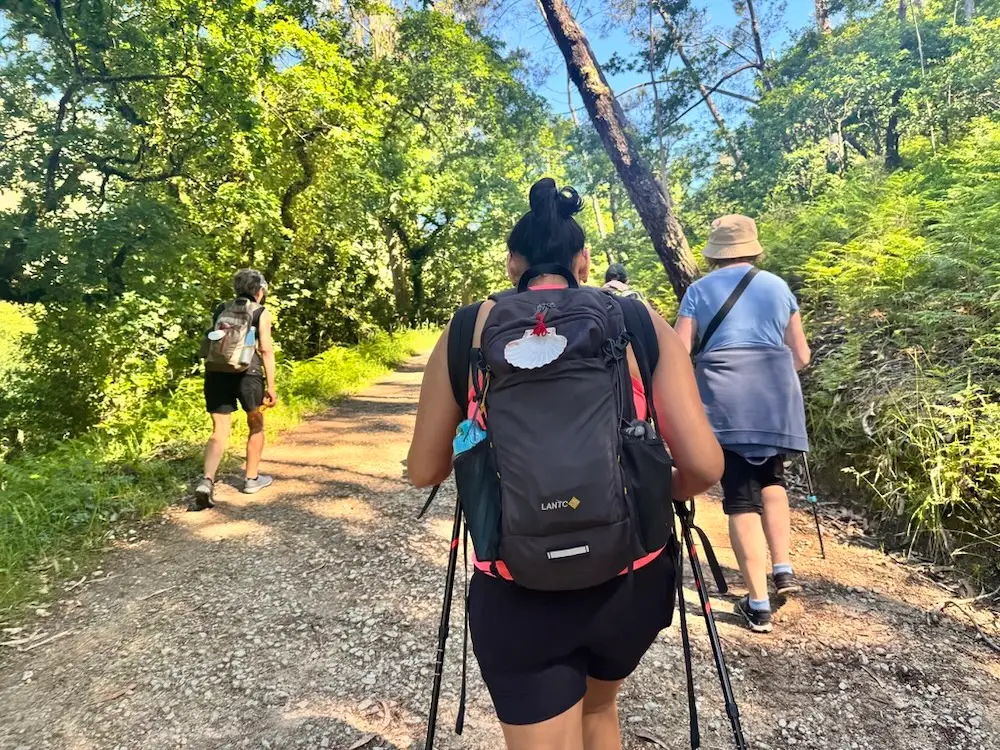 Camino Community Climb