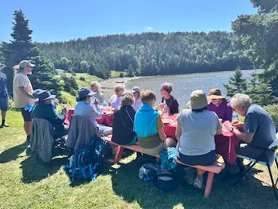 woods_island_picnic